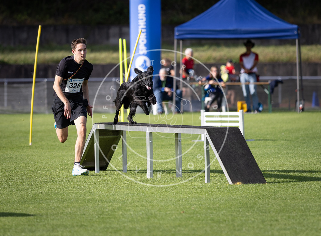 Pfotenfotografie_DV3A2344 | Hundefotografie, Tierfotograf, Pfotenfotografie, Fotoshooting Hund, Hunde Portrait, Hundesport, Hundeportraits, Heideshooting, Hunde, Sportfotograf, Hundefotograf, Turnierhundsport, THS,  - Realisiert mit Pictrs.com