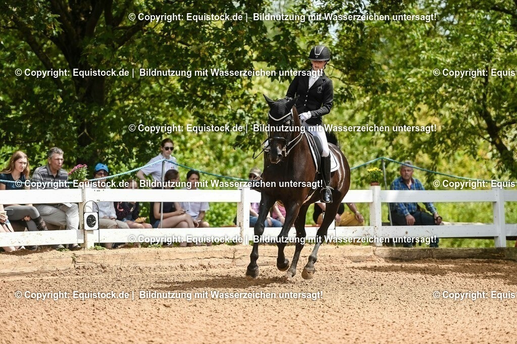 20230716_01_Dressurprüfung Kl.M_0021 | equistock