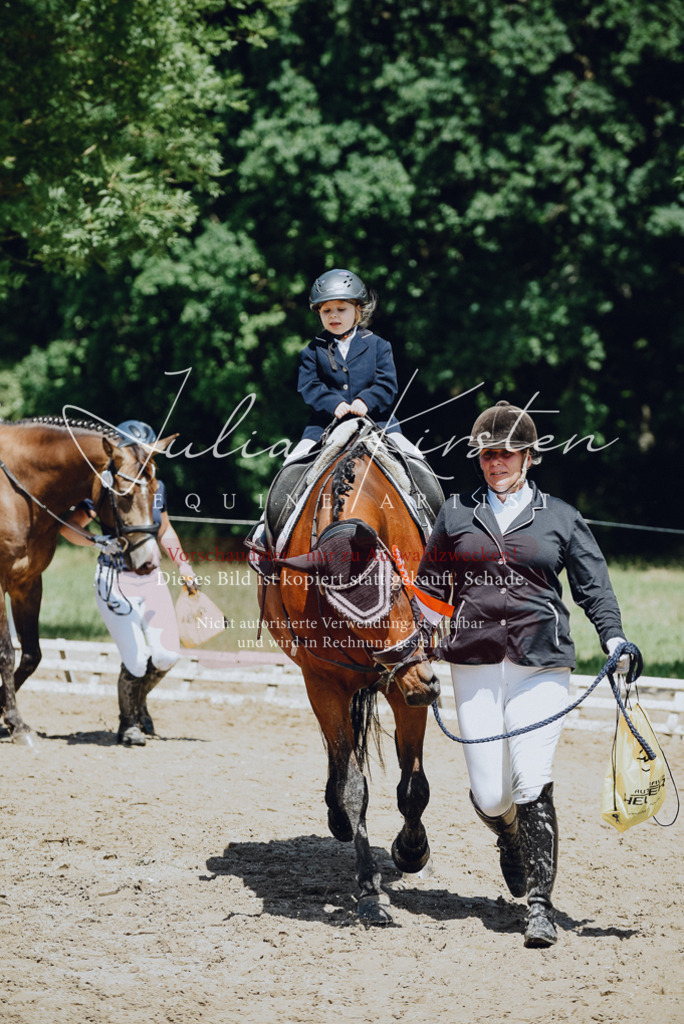 DSC_2716 | Pferde- und Turnierfotografie in Westsachsen. Pferdeportraits, Auftragszeichnungen und intuitive Kunst.