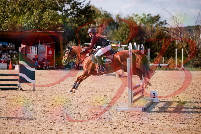 2026_10_03_Siefer-Hof_155757_Z81_77701836 | Professionelle Reitsport-, Turnier- und Eventfotografie von Robert Broda. Galerien mit ausgewählten und bearbeiteten Bildern direkt online ansehen und bestellen.