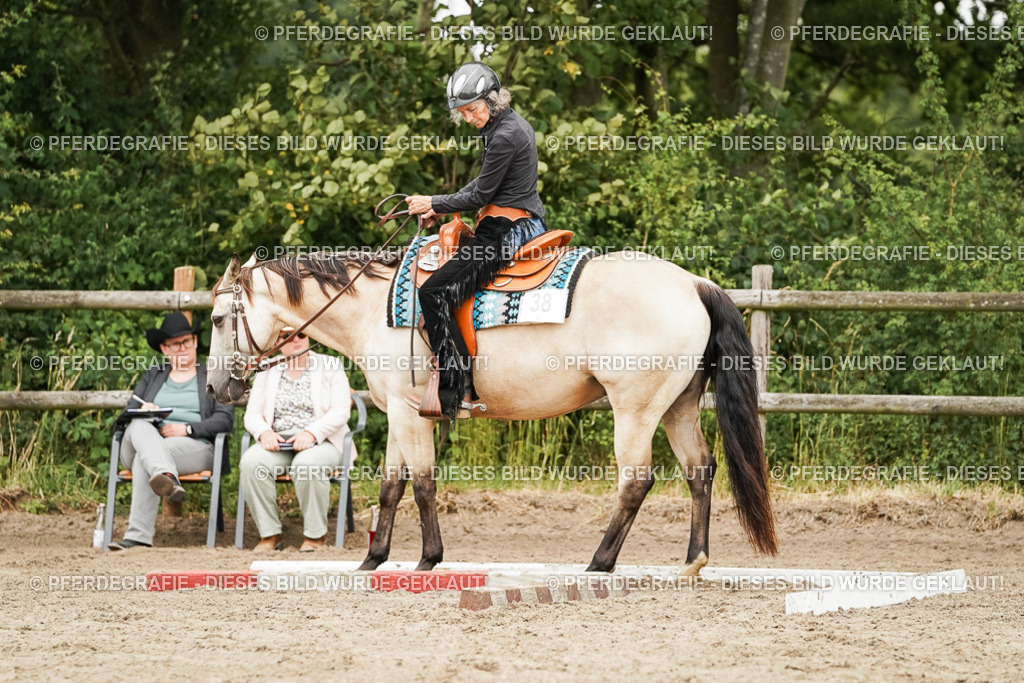 DSC08394 | Pferdegrafie