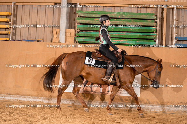 Losheim Tag 2-432 | dv-media-shop - Realized with Pictrs.com