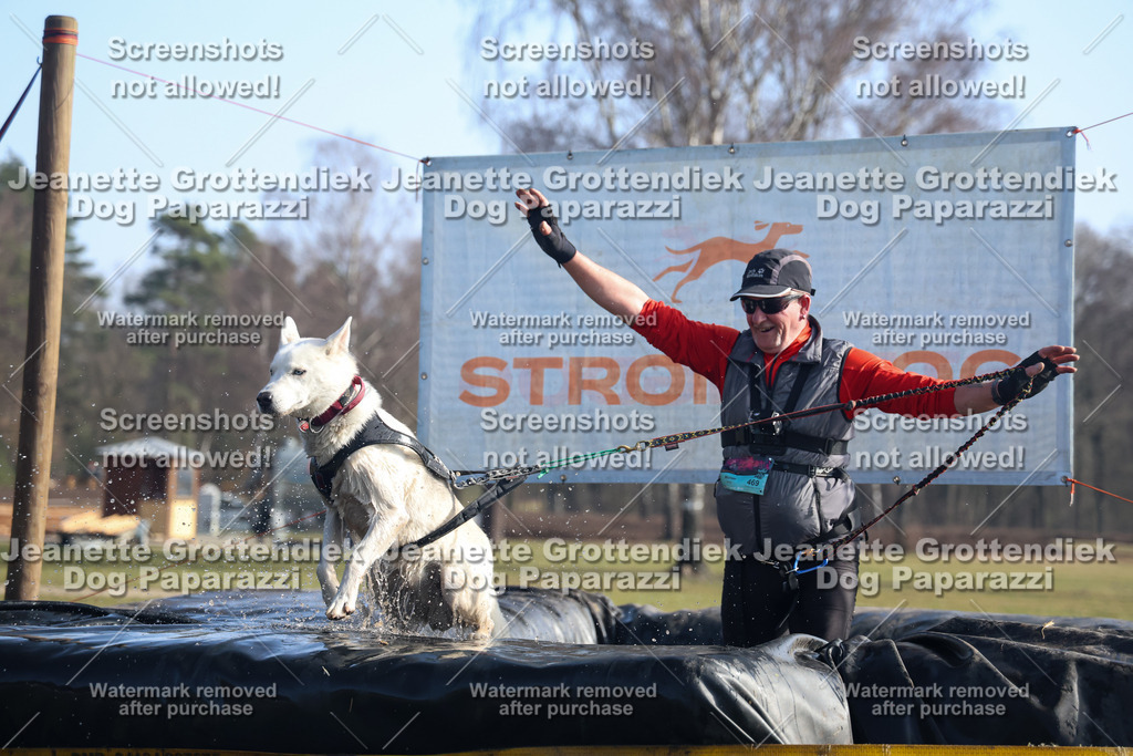 Dog Paparazzi - Strongdog North Mrz26-1227 | Dog Paparazzi Jeanette Grottendiek Fotografie & Videografie - Realisiert mit Pictrs.com