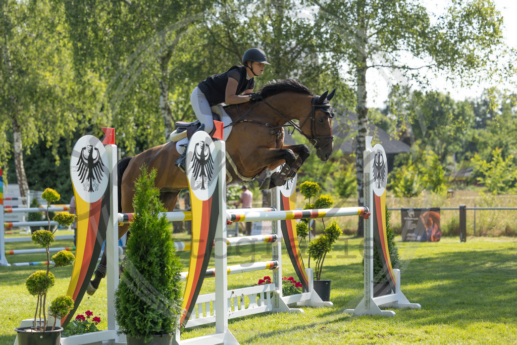 994A3238 | sabrinanicolaifotografie - Realisiert mit Pictrs.com