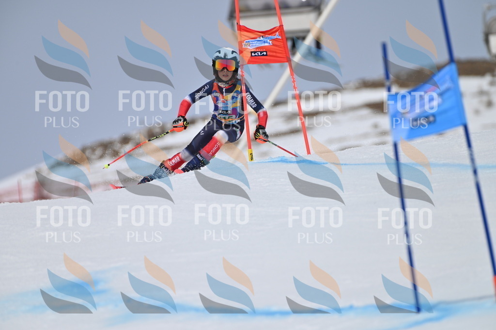 BGV_4168 | holidayphoto