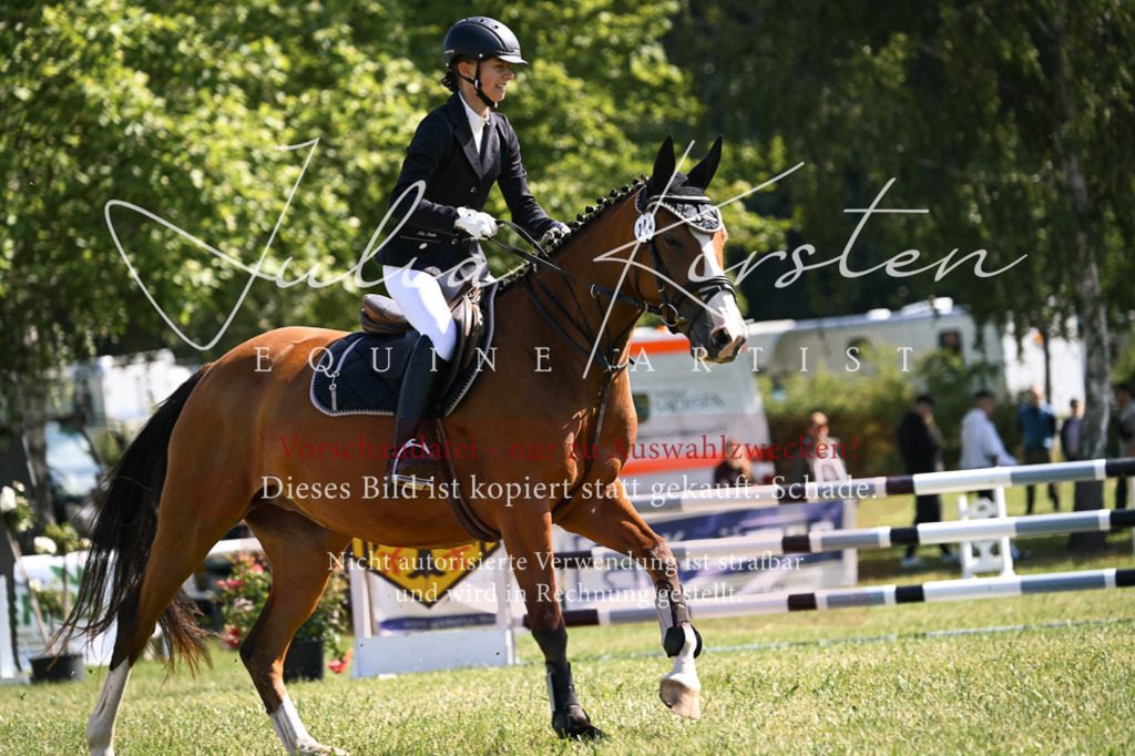 DSC_8724 | Pferde- und Turnierfotografie in Westsachsen. Pferdeportraits, Auftragszeichnungen und intuitive Kunst.