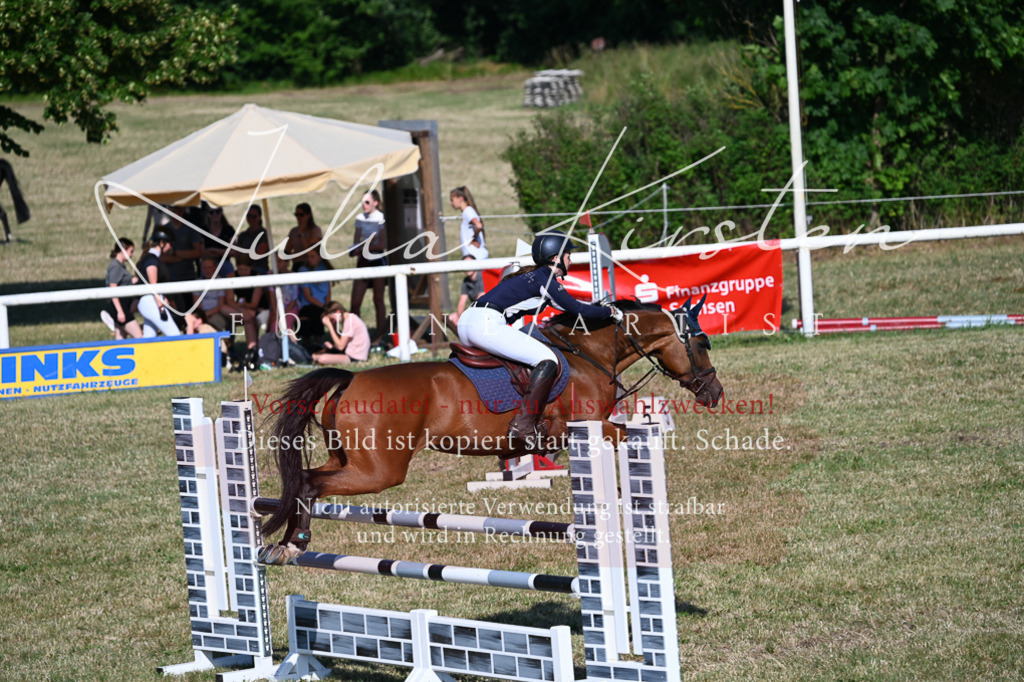 DSC_2443 | Pferde- und Turnierfotografie in Westsachsen. Pferdeportraits, Auftragszeichnungen und intuitive Kunst.
