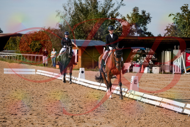2026_10_03_Siefer-Hof_131537_Z63_77399995 | Professionelle Reitsport-, Turnier- und Eventfotografie von Robert Broda. Galerien mit ausgewählten und bearbeiteten Bildern direkt online ansehen und bestellen.