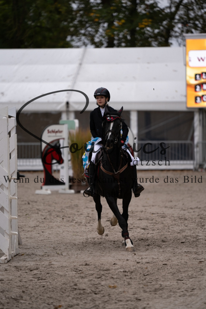 A7V09252 | Pferdefotograf