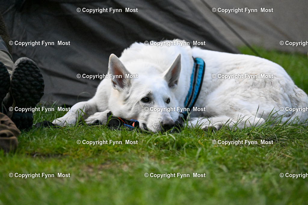 DSC_1824 | Hallo und herzlich Willkommen auf meiner Shop-Seite Fynn Most.

Ich wünsche Dir viel Spaß beim stöbern durch die Bilder, wenn Du Fragen hast oder Bilder vermisst, kannst du mir gerne eine Nachricht schreiben. - Realized with Pictrs.com
