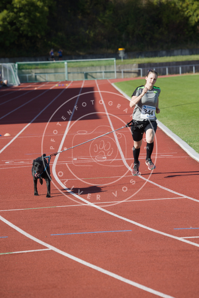 0L8A9272 | Hundefotografie, Tierfotograf, Pfotenfotografie, Fotoshooting Hund, Hunde Portrait, Hundesport, Hundeportraits, Heideshooting, Hunde, Sportfotograf, Hundefotograf, Turnierhundsport, THS,  - Realisiert mit Pictrs.com