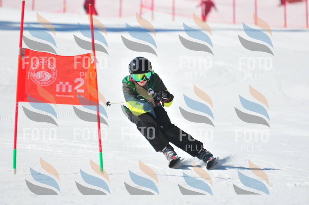 C3860 | holidayphoto