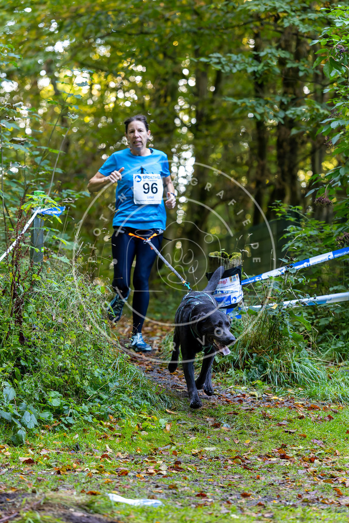 Pfotenfotografie_DV3A7814 | Hundefotografie, Tierfotograf, Pfotenfotografie, Fotoshooting Hund, Hunde Portrait, Hundesport, Hundeportraits, Heideshooting, Hunde, Sportfotograf, Hundefotograf, Turnierhundsport, THS,  - Realisiert mit Pictrs.com