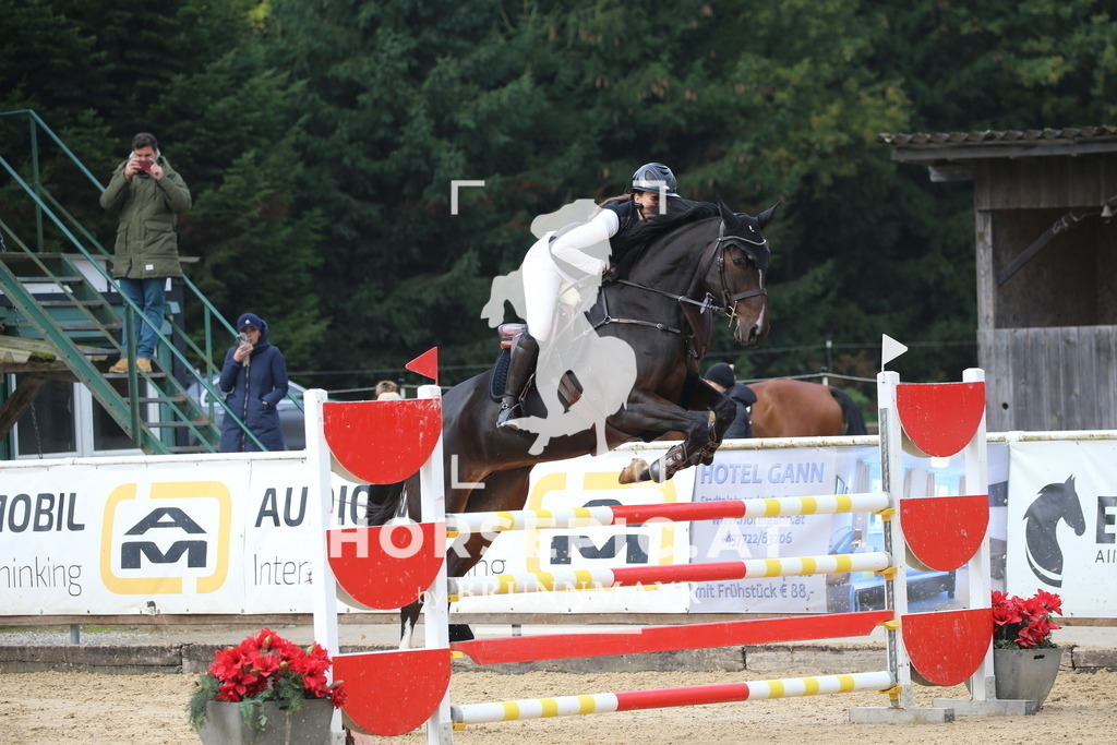 DL2Q0248 | Willkommen bei Brunnmayr - Design & Fotografie – Ihrem Spezialisten für Reitturniere und Pferdeveranstaltungen in Oberösterreich, Salzburg und Bayern! Seit über 17 Jahren sind wir leidenschaftlich dabei.