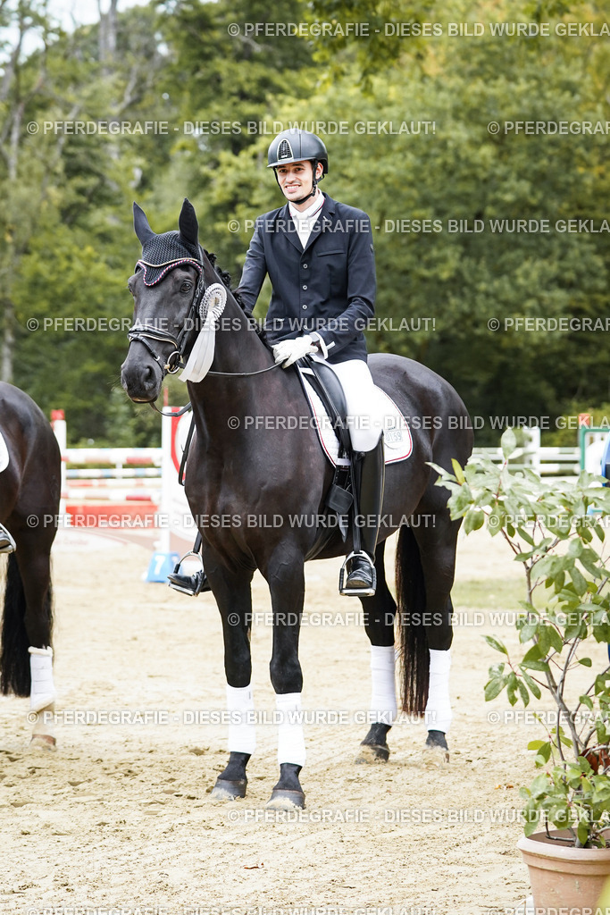 DSC02412 | Pferdegrafie