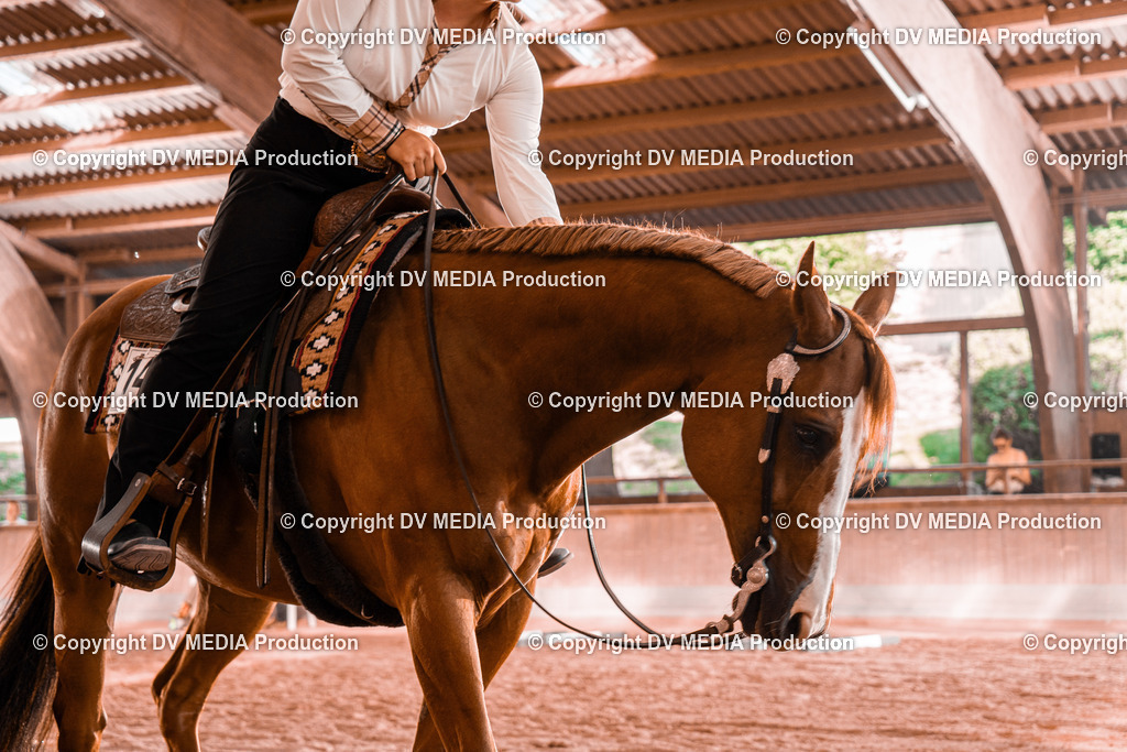 NE300159 | dv-media-shop - Realisiert mit Pictrs.com