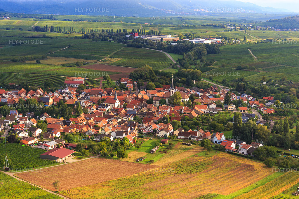 Luftbild: Dorfansicht aus Südwesten in Göcklingen im Bundesland Rheinland-Pfalz in Deutschland. Foto: IMG_103304.jpg vom 10.09.2017 durch Werner Riehm/FLY-FOTO.de