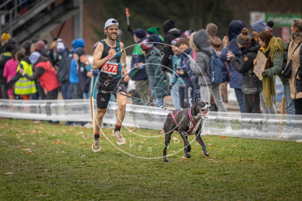 CaniXpix_DV3A9768 | Hundefotografie, Tierfotograf, Pfotenfotografie, Fotoshooting Hund, Hunde Portrait, Hundesport, Hundeportraits, Heideshooting, Hunde, Sportfotograf, Hundefotograf, Turnierhundsport, THS,  - Realisiert mit Pictrs.com