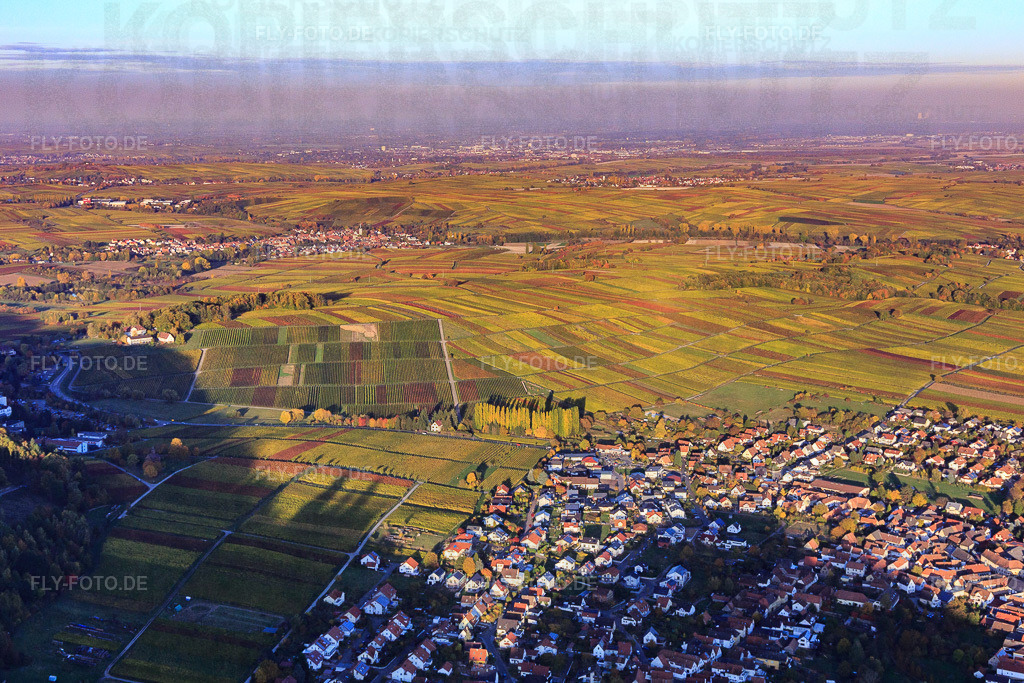 Winzerort zwischen Weinbergen im bunten Herbstlaub | Luftbild: Winzerort zwischen Weinbergen im bunten Herbstlaub in Klingenmünster im Bundesland Rheinland-Pfalz in Deutschland. Foto: IMG_095765.jpg vom 30.10.2016 durch Werner Riehm/FLY-FOTO.de - Realisiert mit Pictrs.com