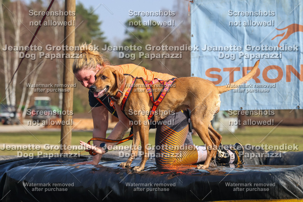Dog Paparazzi - Strongdog North Mrz26-2534 | Dog Paparazzi Jeanette Grottendiek Fotografie & Videografie - Realisiert mit Pictrs.com
