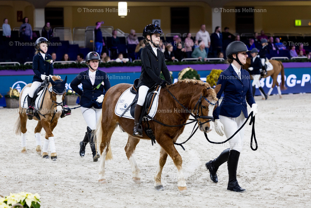 TH_Nürnberger Burgpokal Führzügelwettbewerb_13248 | Nürnberger Burgpokal Führzügelwettbewerb beim Festhallen Reitturnier Frankfurt 2023 am 15.12.23 in Frankfurt, Festhalle