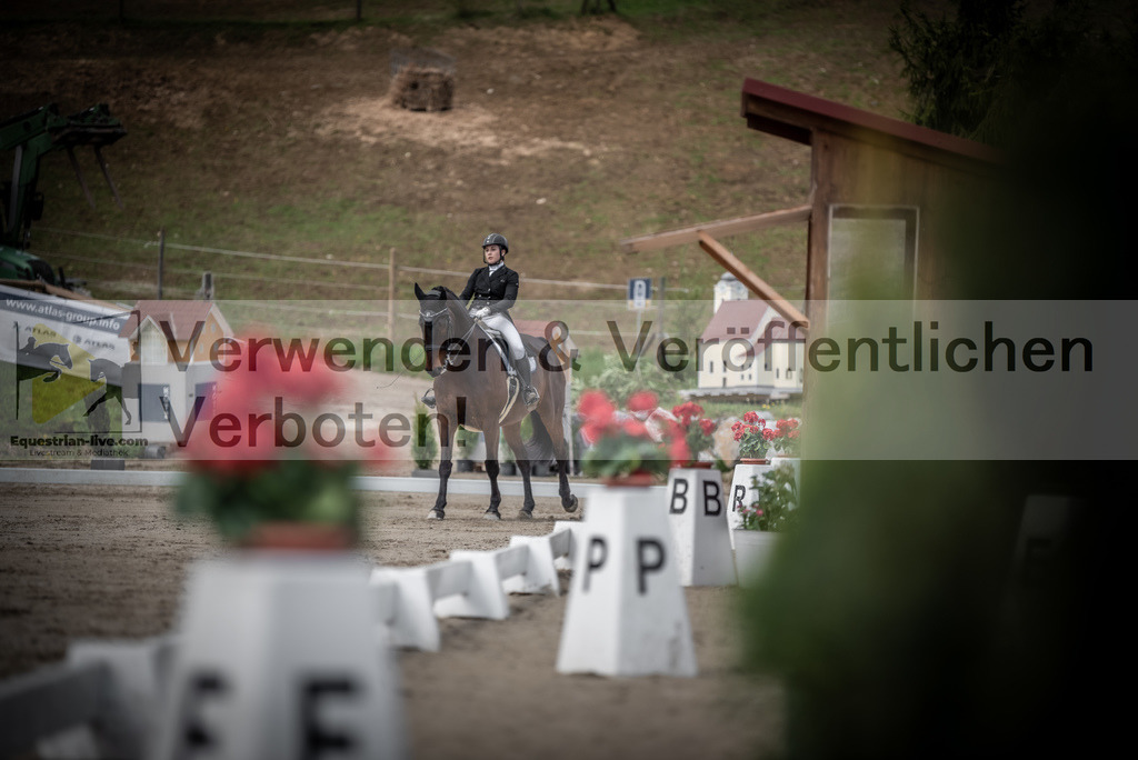 DSC_2938 | equestrian-live-com