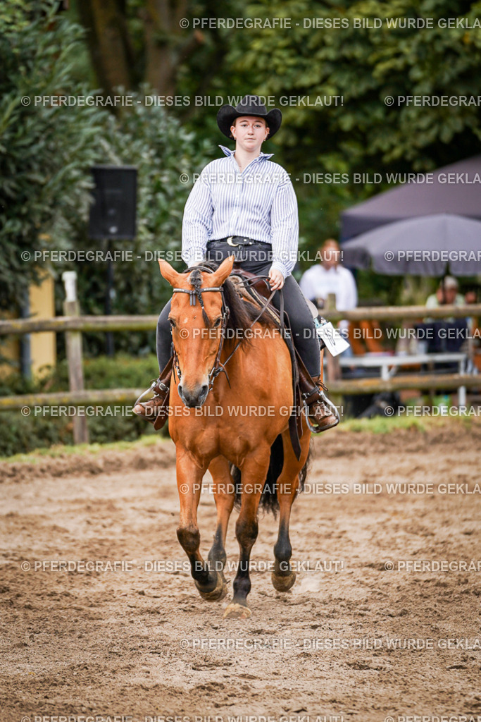 DSC08574 | Pferdegrafie