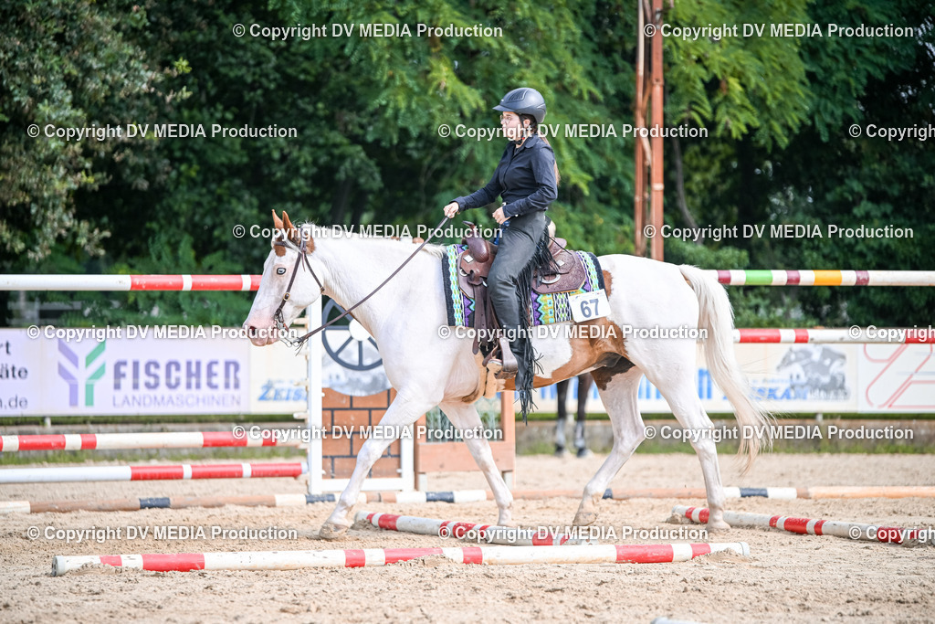 ZS2_3540 | dv-media-shop - Realisiert mit Pictrs.com