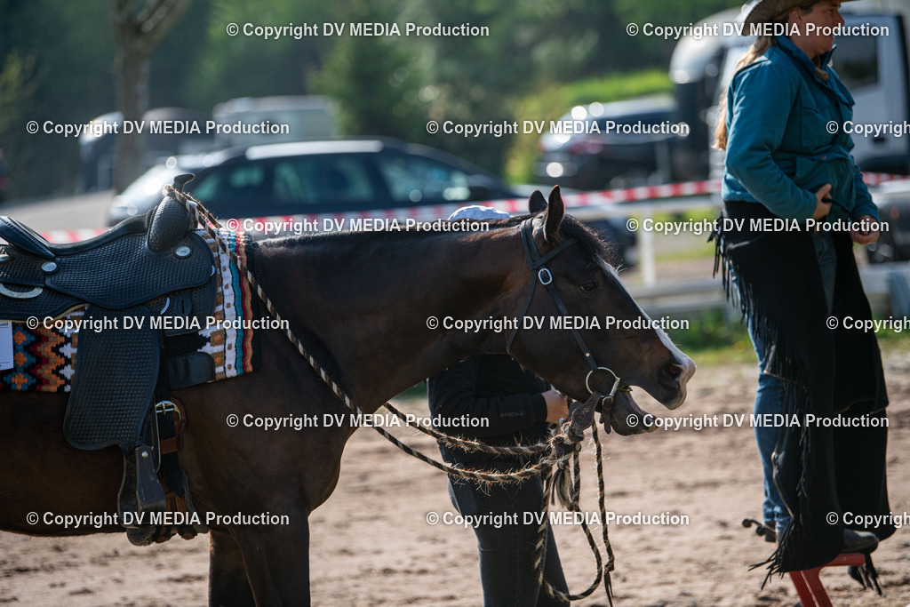 Heiligenwald Tag 2-487 | dv-media-shop - Realisiert mit Pictrs.com