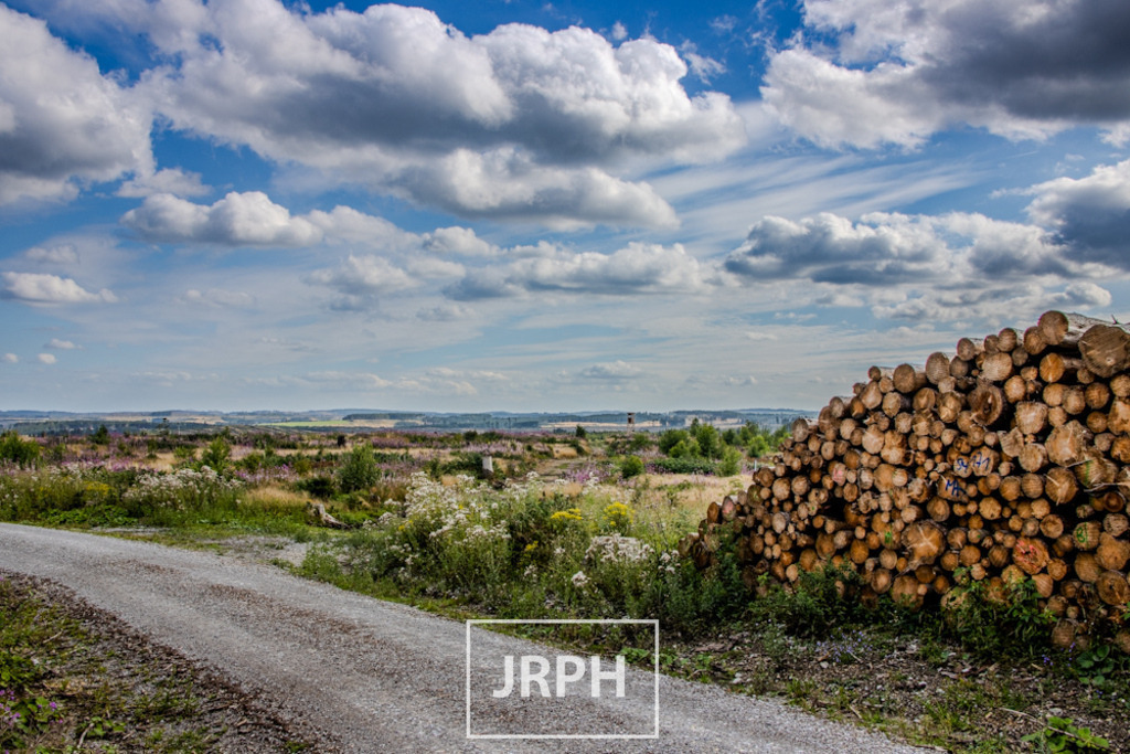 IMG_7960 | jrph - Realisiert mit Pictrs.com