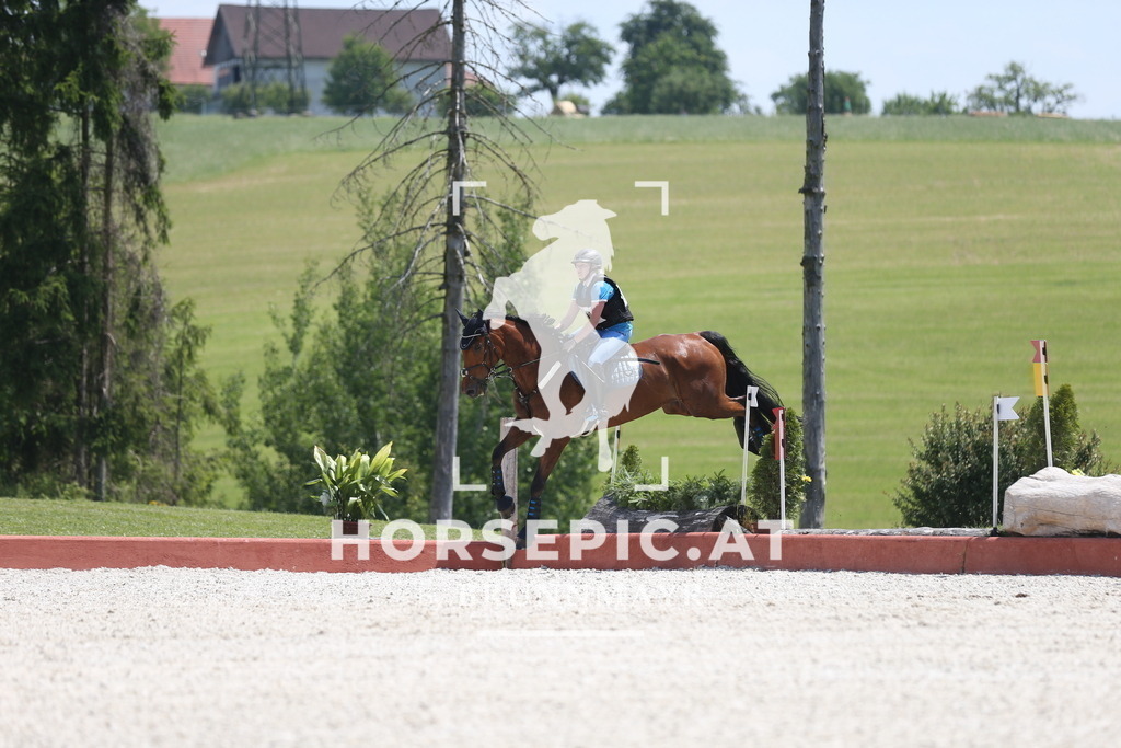 DL2Q2085 | Willkommen bei Brunnmayr - Design & Fotografie – Ihrem Spezialisten für Reitturniere und Pferdeveranstaltungen in Oberösterreich, Salzburg und Bayern! Seit über 17 Jahren sind wir leidenschaftlich dabei.