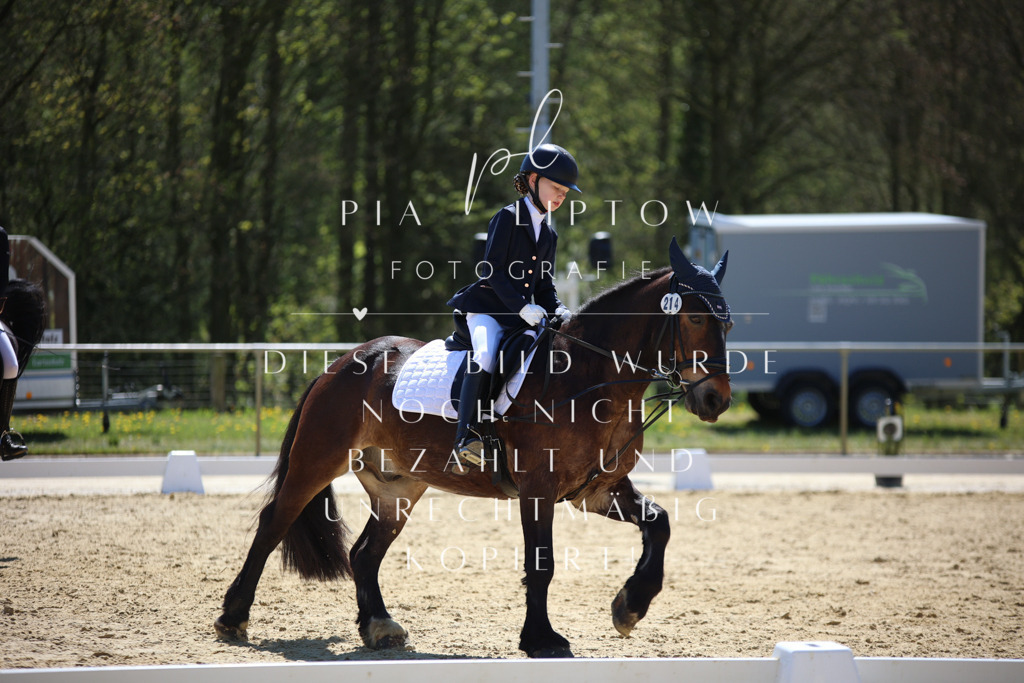 IMGT0528 | pl-fotografie