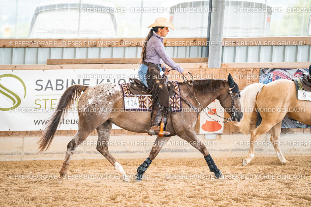 DSC00737 | Pferdegrafie