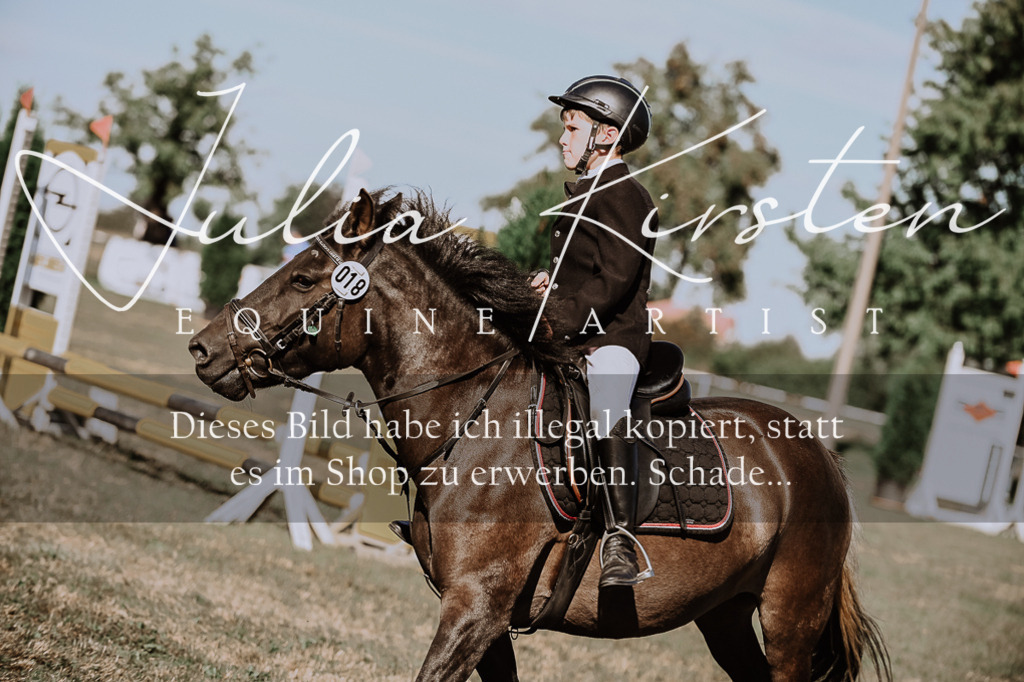 DSC_9461 | Pferde- und Turnierfotografie in Westsachsen. Pferdeportraits, Auftragszeichnungen und intuitive Kunst.