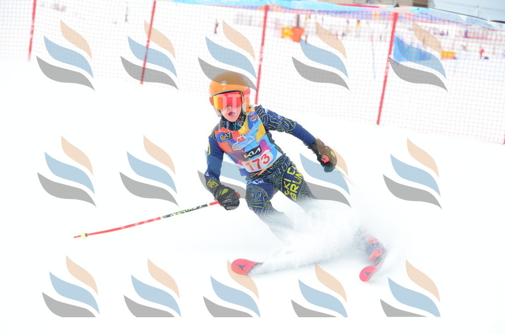 DSC_1627 | holidayphoto