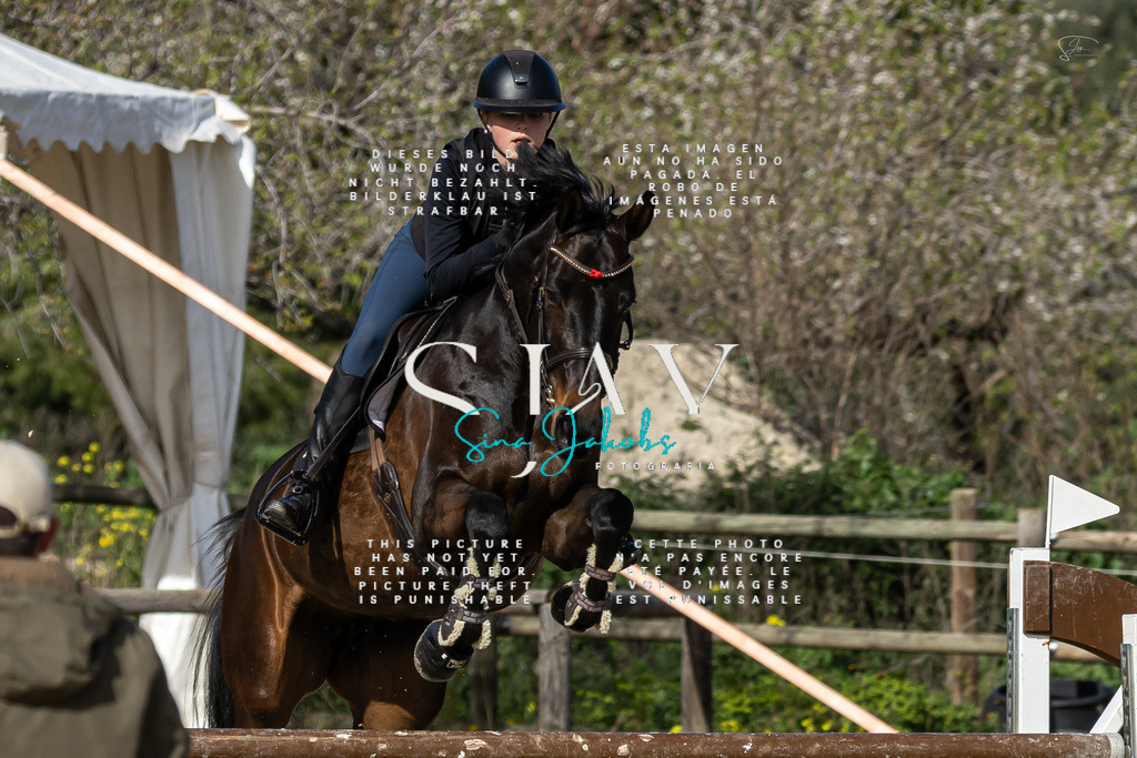 IMG_6873 | s-jay-photography - Realisiert mit Pictrs.com