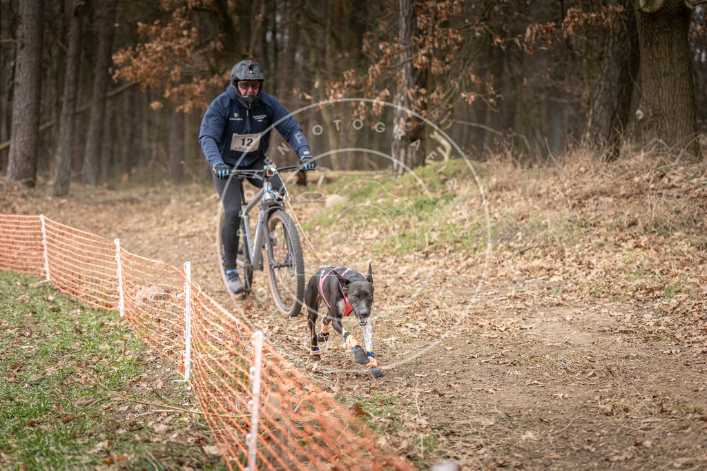 Pfotenfotografie_DV3A1573 | Hundefotografie, Tierfotograf, Pfotenfotografie, Fotoshooting Hund, Hunde Portrait, Hundesport, Hundeportraits, Heideshooting, Hunde, Sportfotograf, Hundefotograf, Turnierhundsport, THS,  - Realisiert mit Pictrs.com