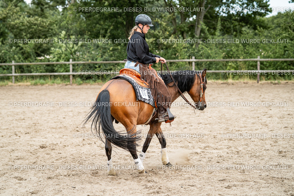 DSC02050 | Pferdegrafie