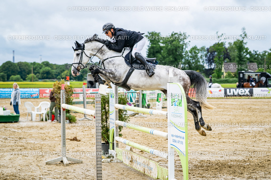 DSC04245 | Pferdegrafie