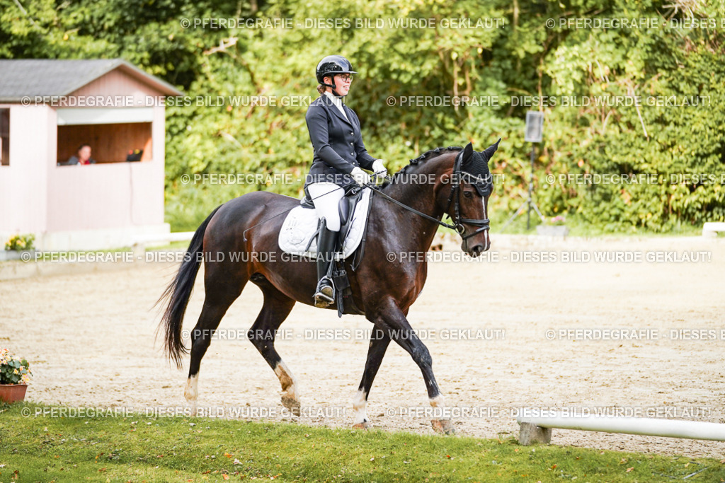 DSC09549 | Pferdegrafie