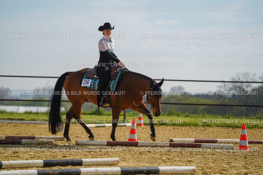 DSC01260 | Pferdegrafie