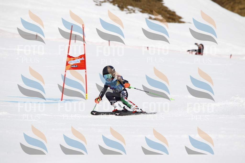 _U3G5434 | holidayphoto