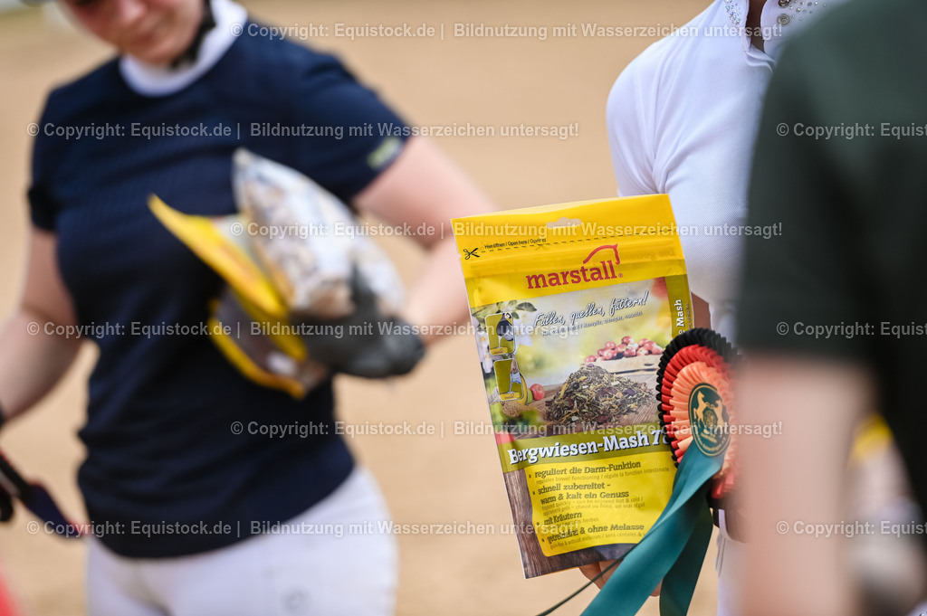 20230715_09_Dressur-WB_0579 | equistock