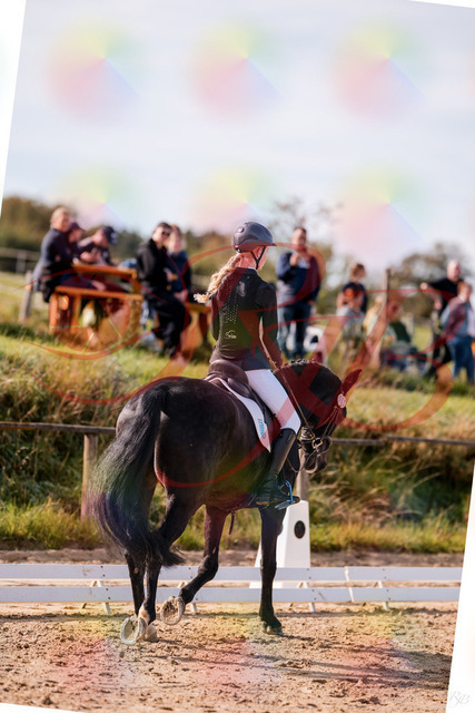 2026_10_03_Siefer-Hof_115740_Z81_98351977 | Professionelle Reitsport-, Turnier- und Eventfotografie von Robert Broda. Galerien mit ausgewählten und bearbeiteten Bildern direkt online ansehen und bestellen.