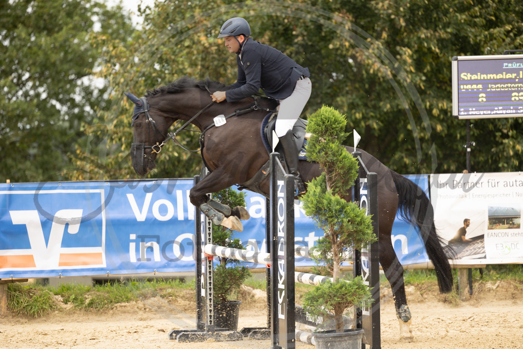 994A7751 | sabrinanicolaifotografie - Realisiert mit Pictrs.com