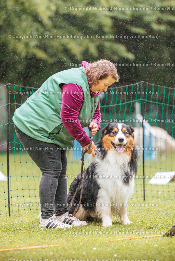 RO-Blumenthal-2026-Nickbest-Hundefotografie-0451 | Dein Hund! Dein Moment! Deine Erinnerungen! Hundefotografie in Bremen Blumenthal. Ich fange die besonderen Momente deines Vierbeiners ein – ob Indoor mit Blitzanlage oder in der freien Natur. Sicher dir dein Moment und dein Termin für eure Erinnerungen.