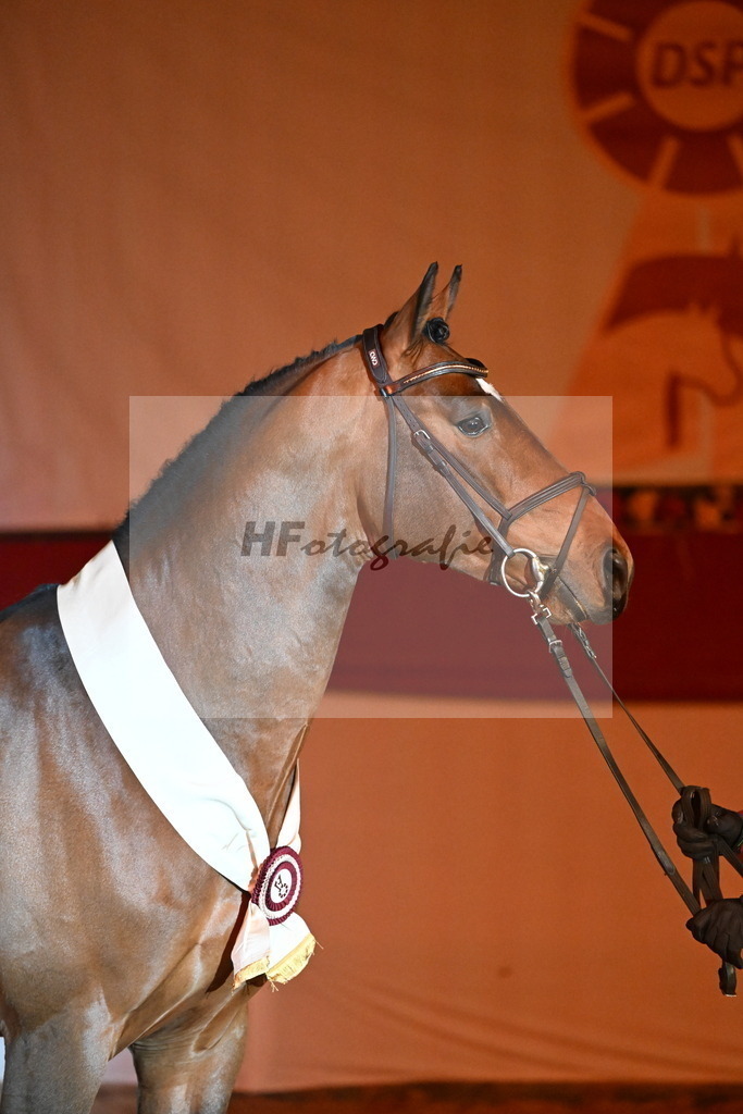 Chaplin_s Touch_Bachl_3261921 | hf-fotografie - Realisiert mit Pictrs.com