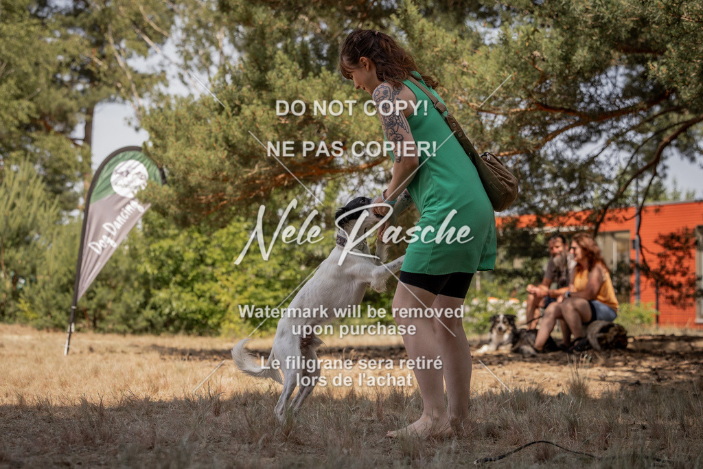 nelerasche_soDD2_420 | nelerasche