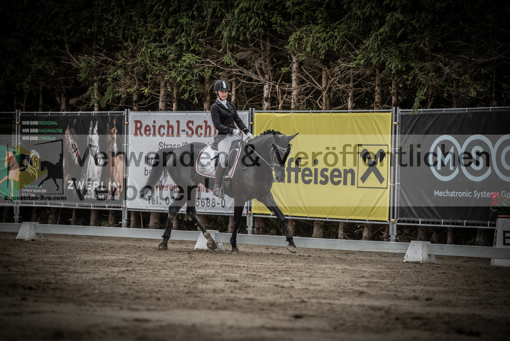 DSC_9464 | equestrian-live-com