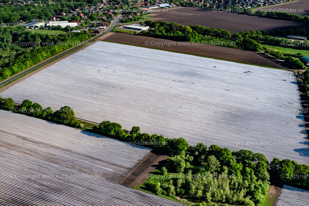 Dollern_Spargelfelder_ELS_9712070524 | DOLLERN 07.05.2024 Reihen mit Spargel- Anbau auf Feld- Flächen in Dollern im Bundesland Niedersachsen, Deutschland. // Rows with asparagus growing on field surfaces in Dollern in the state Lower Saxony, Germany. Foto: Martin Elsen